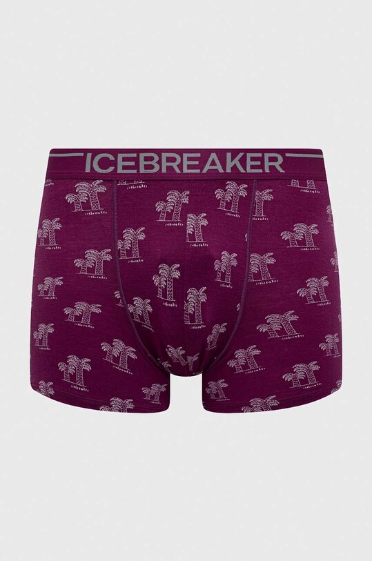 Funkcijsko perilo Icebreaker Merino Anatomica Prijazno od planeta vijolična IB1030298151