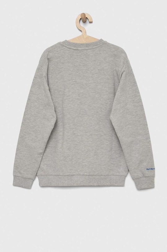 Fila bluza dziecięca FAT0234 szary SS23
