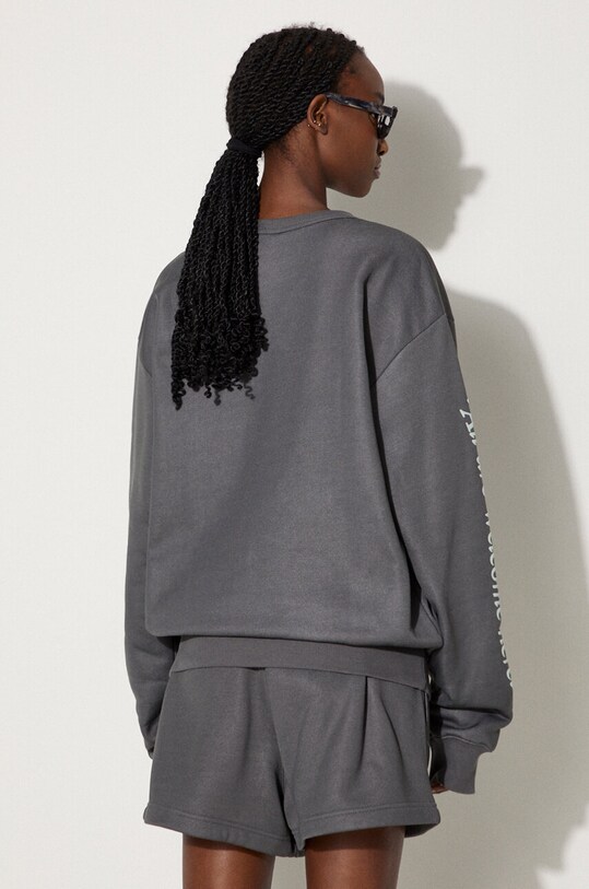 Clothing Reebok Classic sweatshirt Classic GV Crew HT6117 gray