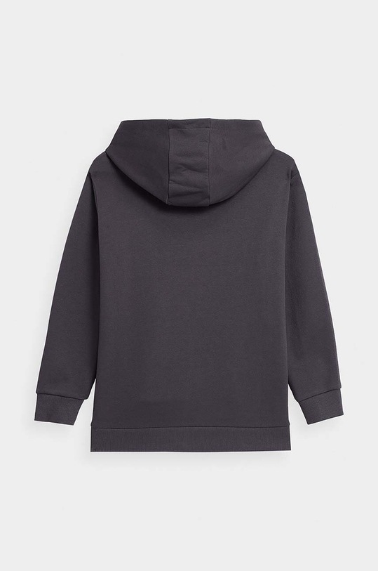 Dziewczynka 4F bluza dziecięca 4FJSS23TSWSF277 fioletowy