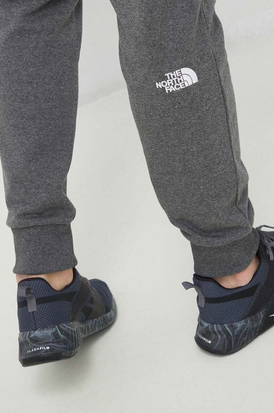 Donji dio trenirke The North Face siva NF0A4T1FDYY1