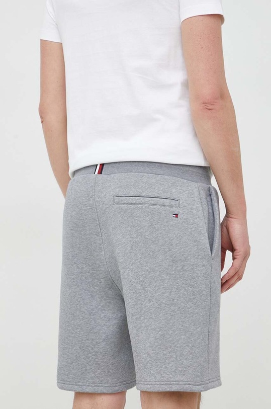 Oblečení Kraťasy Tommy Hilfiger MW0MW30032.PPYX šedá