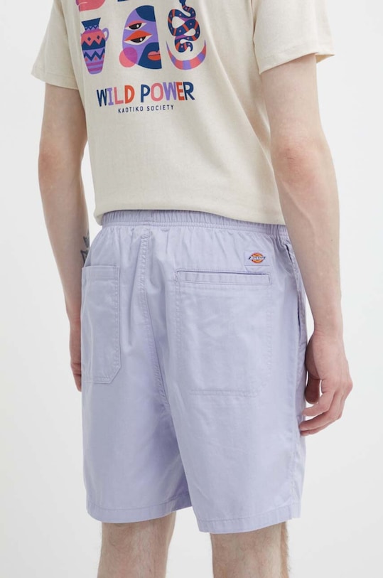 Одежда Хлопковые шорты Dickies DK0A4XB2BLK1 фиолетовой