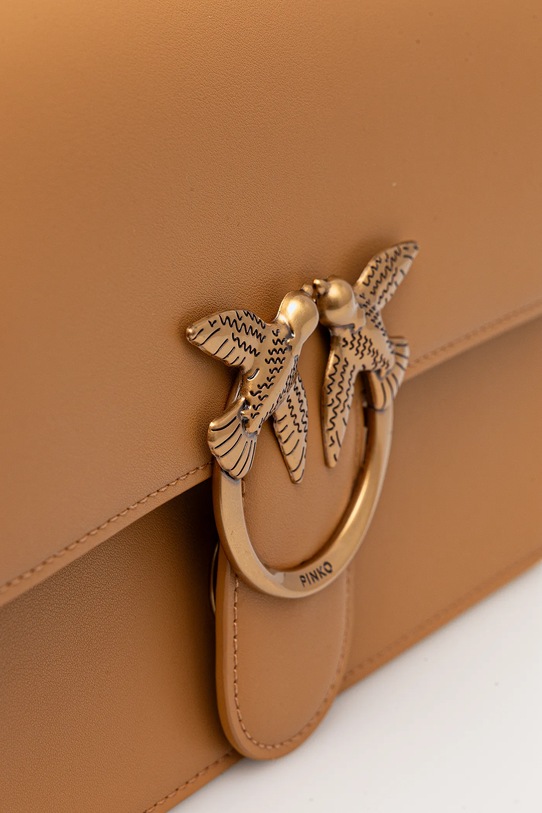 Pinko borsa a mano in pelle marrone 100941.A0F1