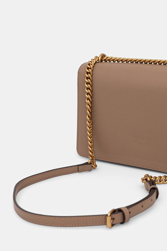 Accesorii Pinko poseta de piele 100941.A0F1 maro