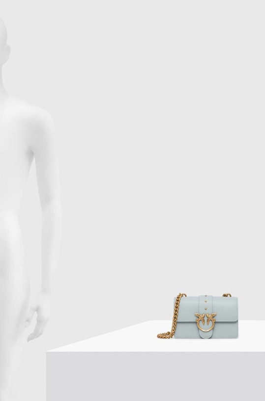 Pinko poseta de piele 100058.A0F1