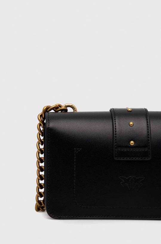 Аксессуары Кожаная сумочка Pinko 100058.A0F1 чёрный
