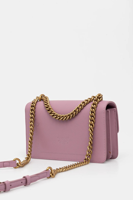 Αξεσουάρ Δερμάτινη τσάντα Pinko 100074.A0F1 μωβ