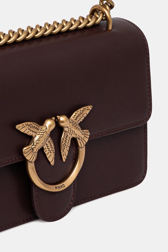 Аксессуары Кожаная сумочка Pinko 100074.A0F1 коричневый