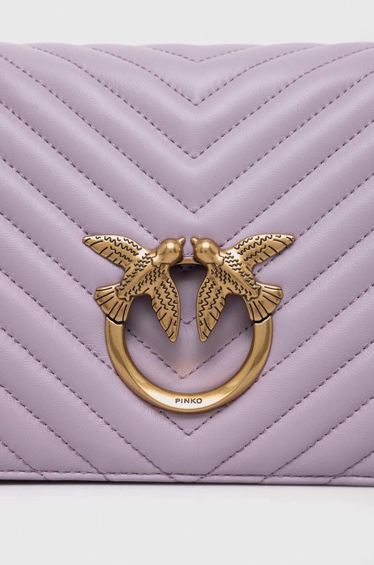 Accesorii Pinko poseta de piele 100063.A0GK violet