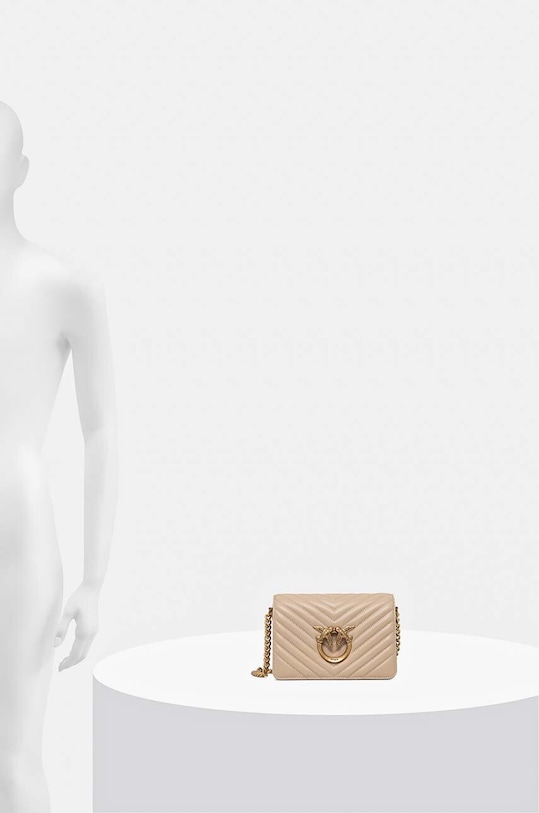 Pinko poseta de piele 100067.A0GK