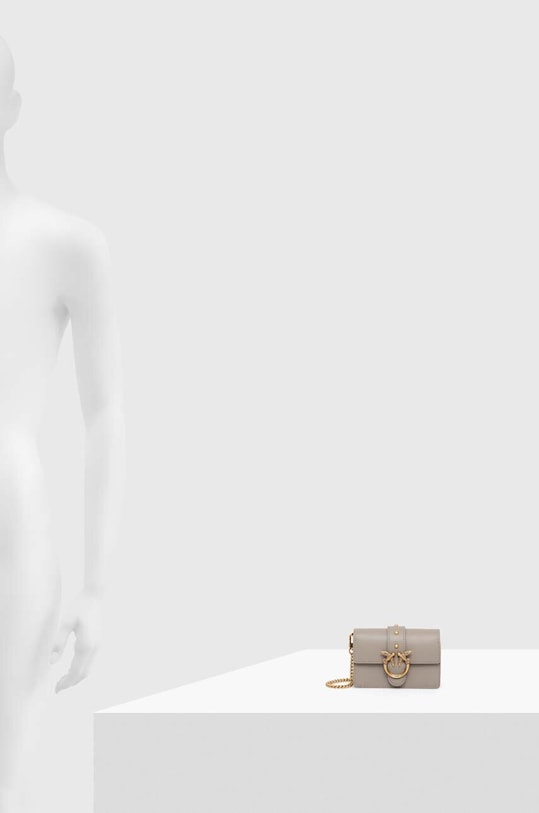 Pinko poseta de piele 100064.A0F1