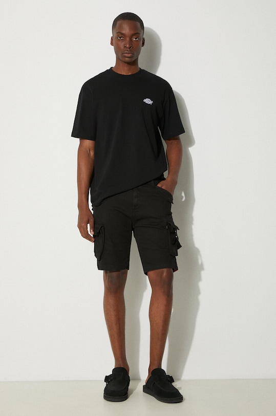 Хлопковая футболка Dickies DK0A4YAIBLK1 чёрный AW25