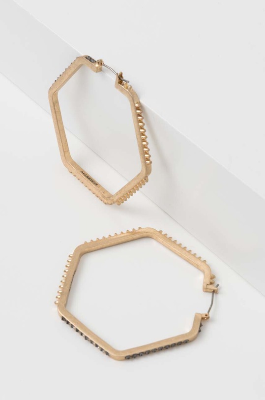 Accesorii AllSaints cercei 458894BRS976 aur