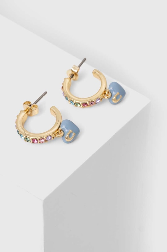 Сережки Coach барвистий 384784GLD