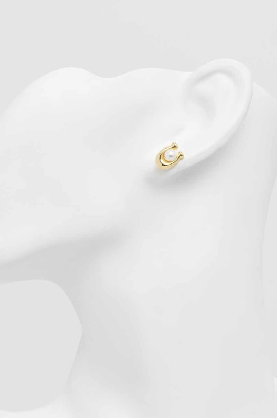 Сережки Coach 341922GLD золотой SS24