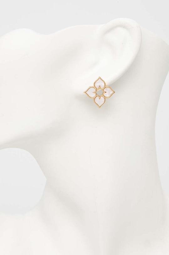 Позолочені сережки Aldo GINNIE GINNIE.102 золотий SS24