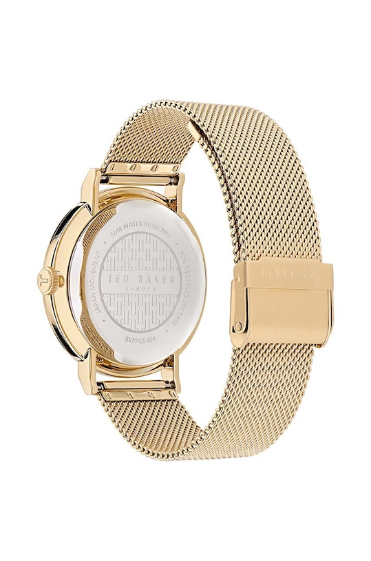Аксесуари Годинник Ted Baker BKPPGS404 золотий