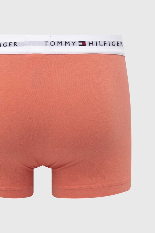 Боксеры Tommy Hilfiger 3 шт UM0UM02761 мультиколор