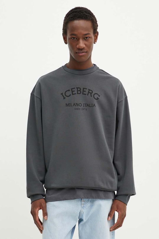 Кофта Iceberg сірий E05D.6317