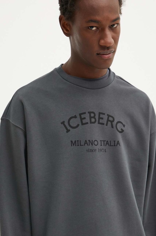 Кофта Iceberg сірий E05D.6317