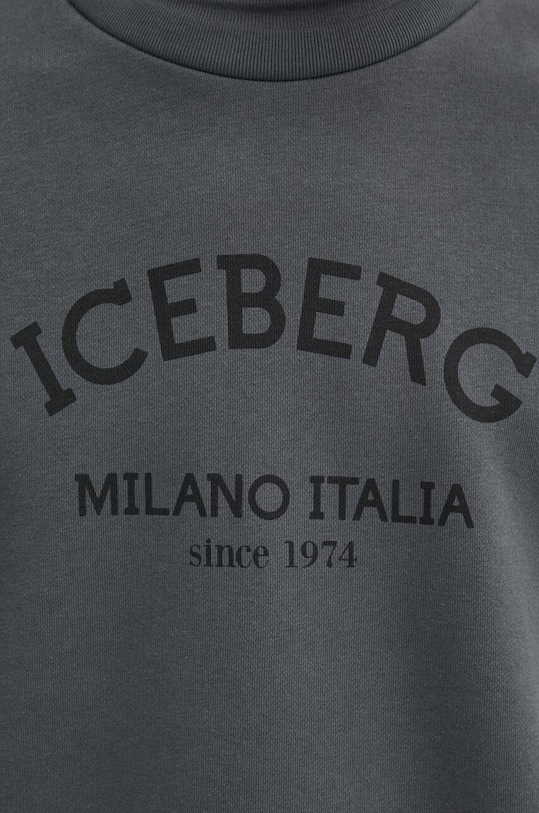 Кофта Iceberg E05D.6317 сірий