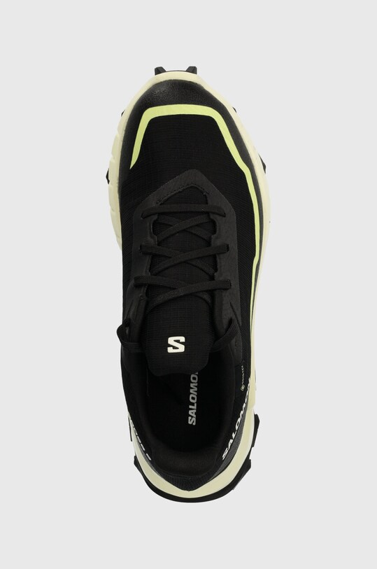 Черевики Salomon Alphacross 5 GTX чорний L47460600