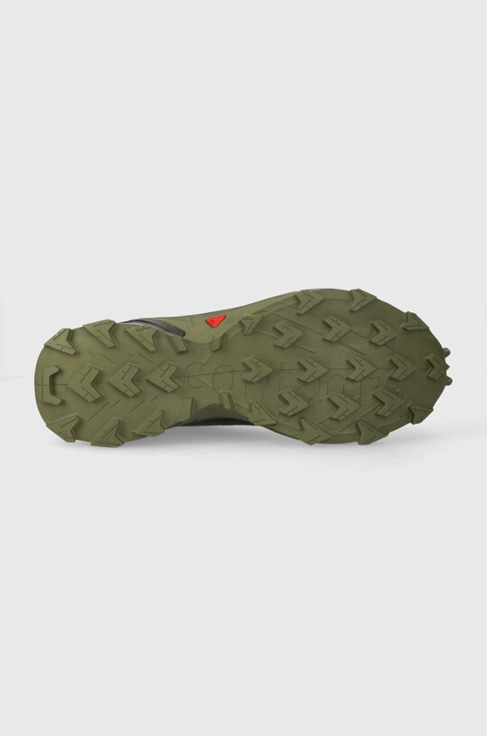 Черевики Salomon Alphacross 5 GTX L47310300 зелений