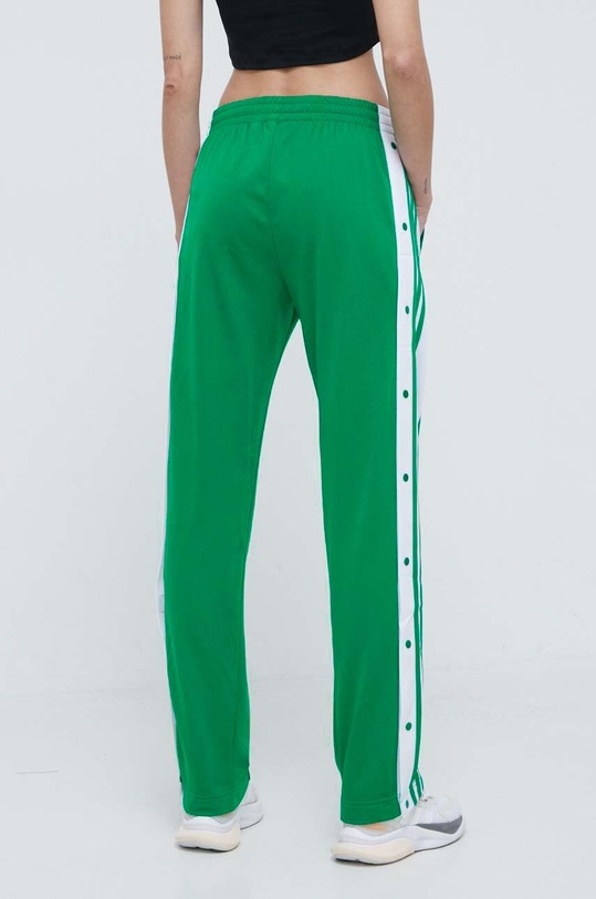 Odjeća Donji dio trenirke adidas Originals Adibreak Pant IP0616 zelena