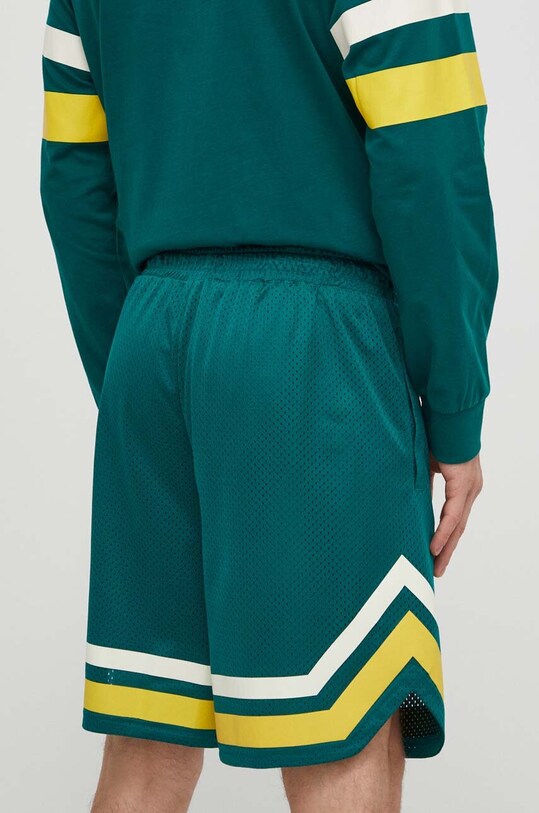 Одяг Шорти Fila Lashio FAM0651 зелений