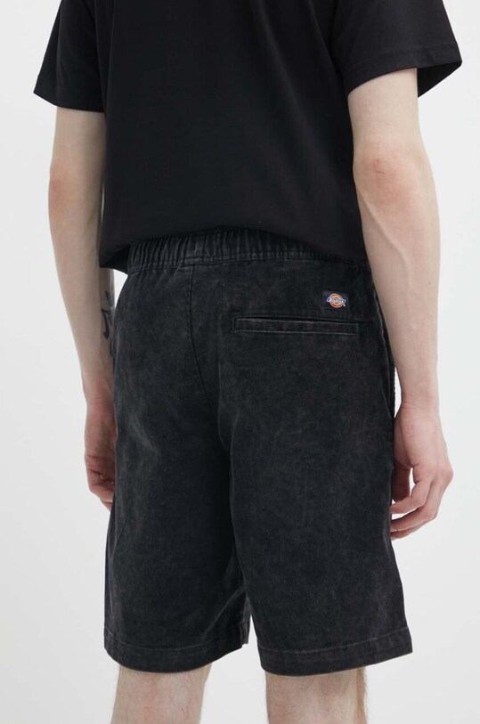 Oblečení Kraťasy Dickies CHASE CITY SHORT DK0A4YSZ černá