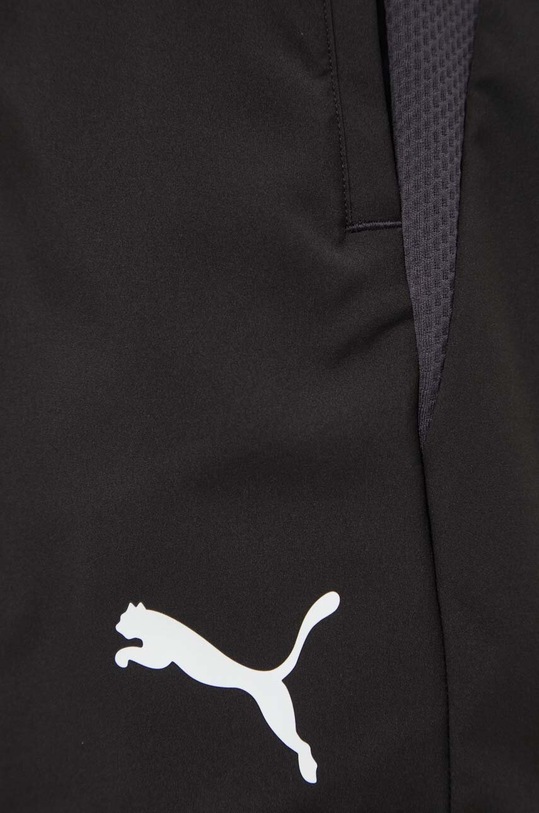 Шорти для тренувань Puma TeamGOAL 658774 чорний