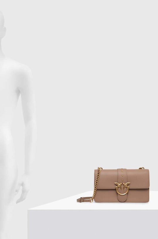 Pinko poseta de piele 100053.A0F1