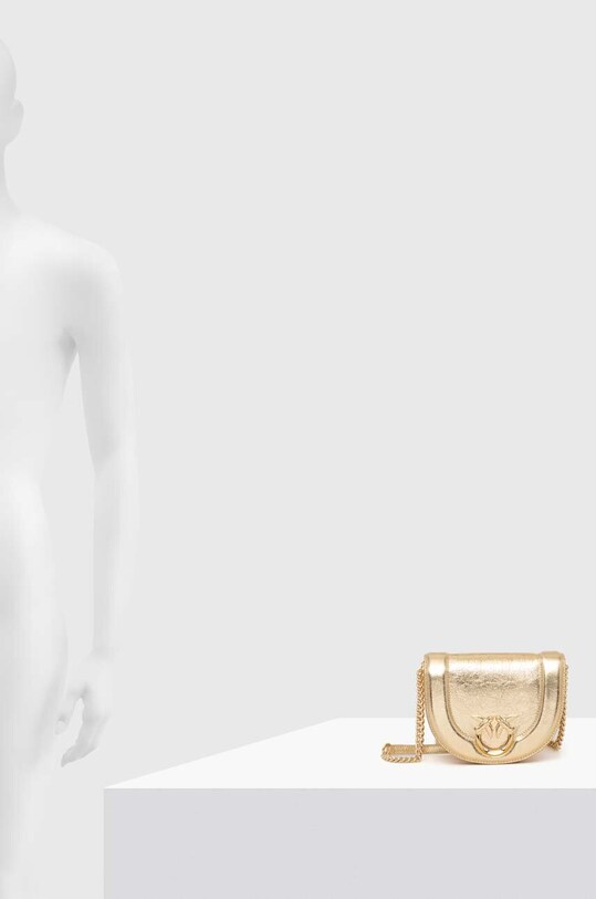 Pinko poseta de piele 101969.A1JG