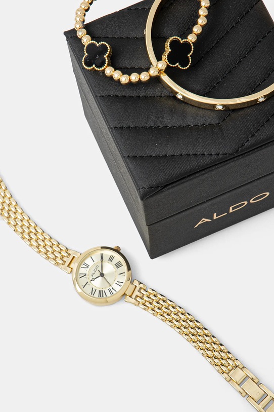 Doplnky Hodinky Aldo LANGSIDE LANGSIDE.970 zlatá