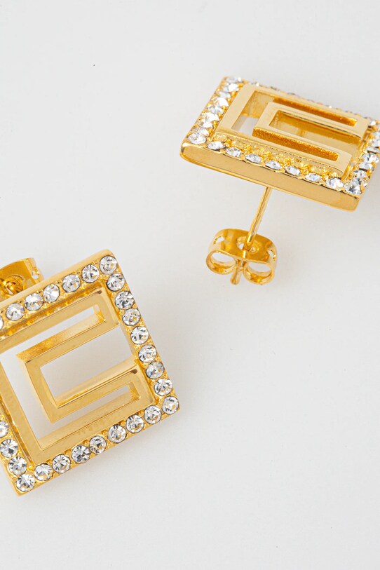 Accesorii Elisabetta Franchi cercei OR58A52E2 aur