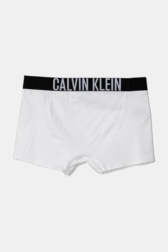 Хлопчик Дитячі боксери Calvin Klein Underwear 2-pack B70B700509.PPYA темно-синій