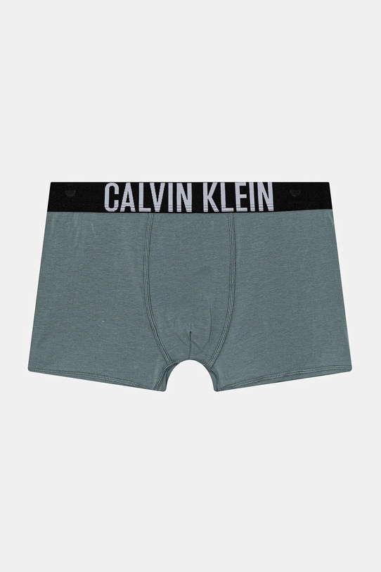 Dječaci Dječje bokserice Calvin Klein Underwear 2-pack B70B700509.PPYA zelena