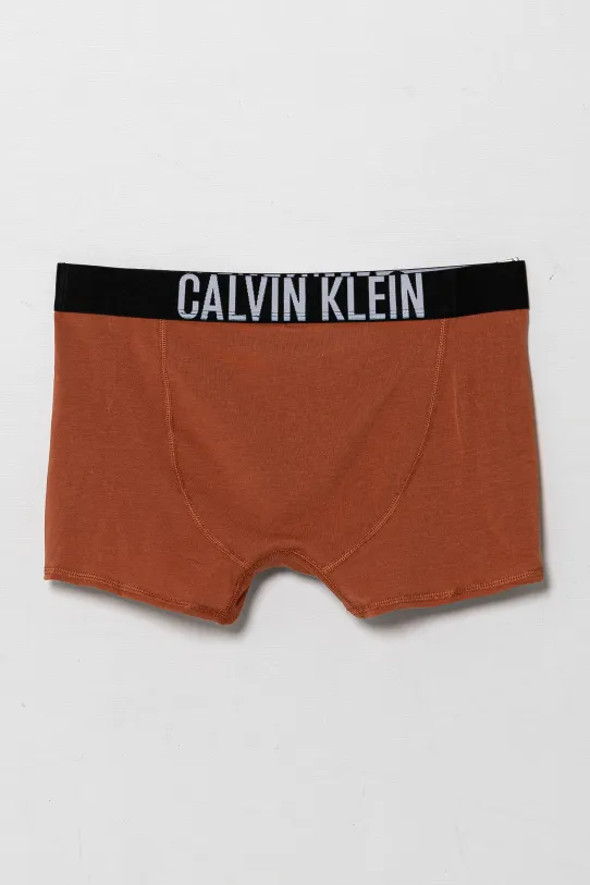 Мальчик Детские боксеры Calvin Klein Underwear 2 шт B70B700509.PPYA голубой