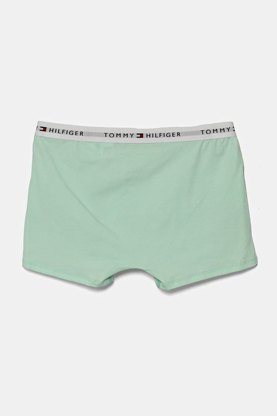 Dječaci Dječje bokserice Tommy Hilfiger 2-pack UB0UB00550.PPYA zelena
