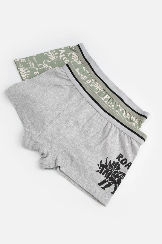 Băieți Coccodrillo boxeri copii 2-pack WC5409504PAN verde