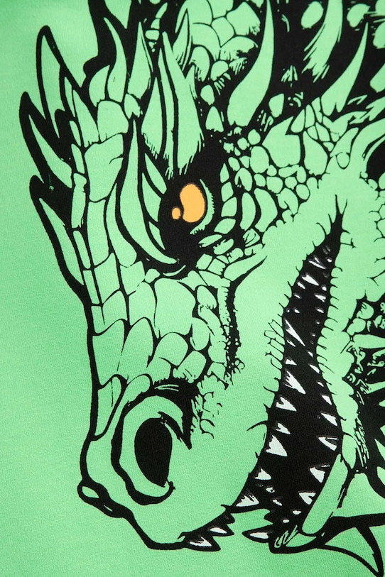 Детская кофта Coccodrillo зелёный WC5132301DBJ