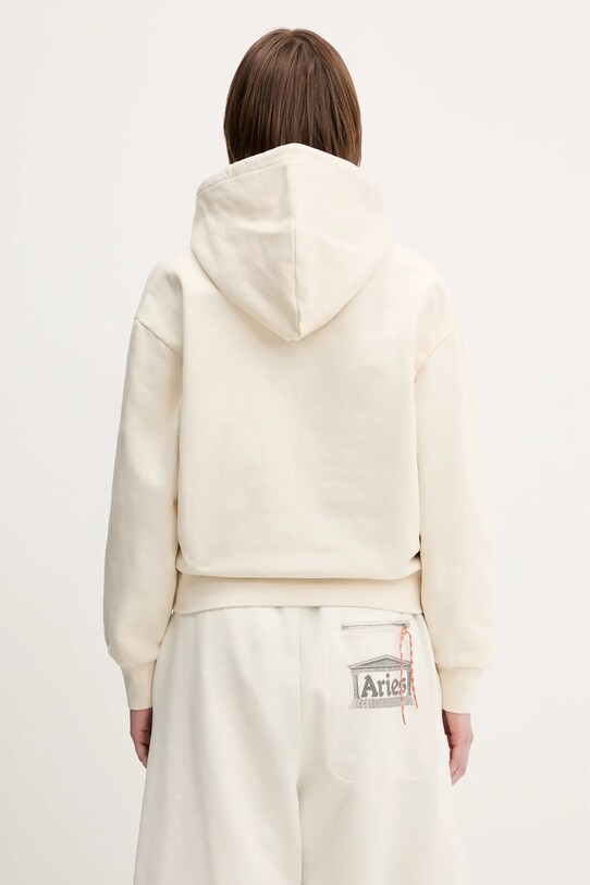 Ρούχα Μπλούζα Carhartt WIP Hooded Casey Sweatshirt I032644.0UOXX μπεζ