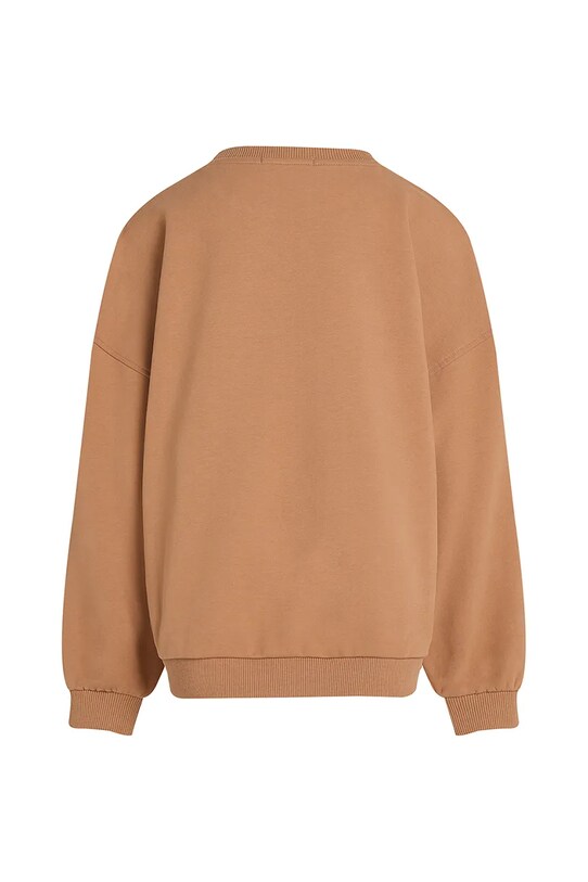 Дівчинка Дитяча кофта Calvin Klein Jeans IG0IG02760.PPYA коричневий