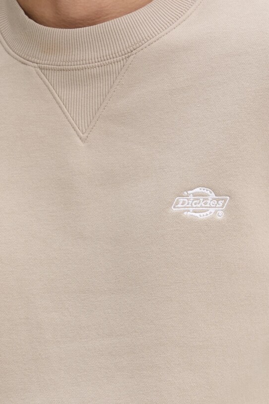 Dickies bluza DK0A4Y6QSS01 brązowy