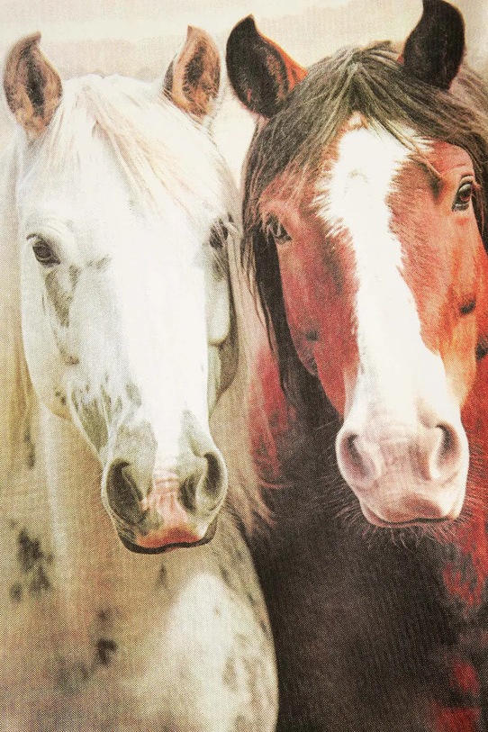 Coccodrillo tricou bej WC5143102NGJ