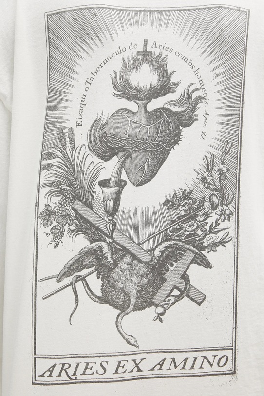 Aries longsleeve bawełniany Faded Aries Ex Amino LS Tee AR6002403