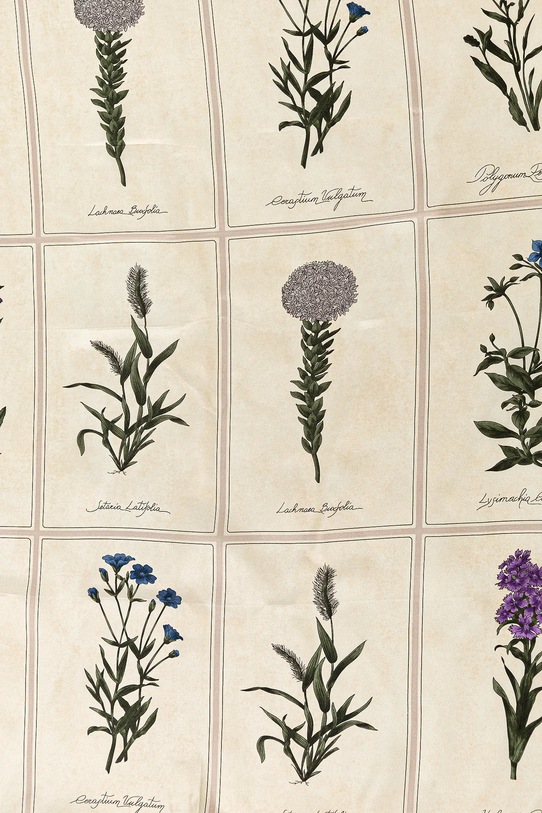 Svileni rubac Weekend Max Mara 2515541055600 bež SS25