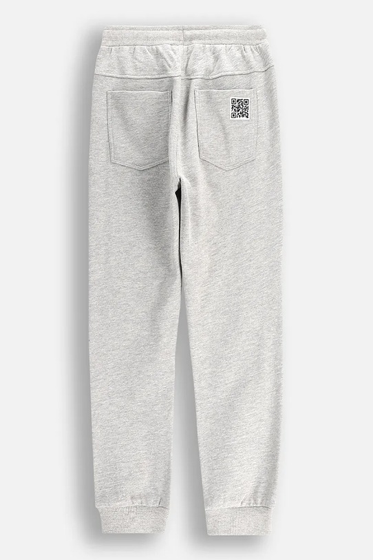 Спортивні штани Coccodrillo WC5120103GBJ сірий SS25
