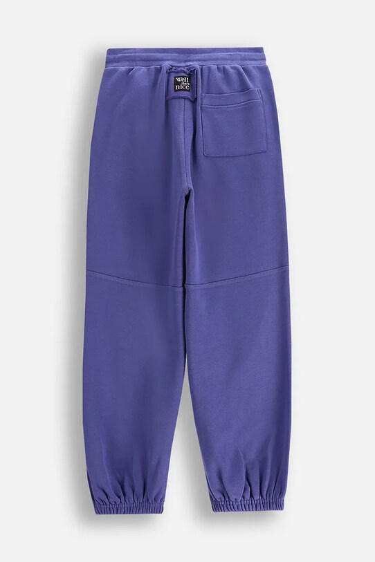 Fete Coccodrillo pantaloni de trening pentru copii WC5120101CGJ albastru